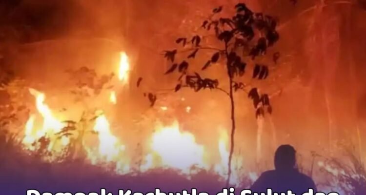 Karhutla di Sulut Dampak Karhutla di Sulut dan Kondisi Terbaru