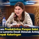 Ancam Produktivitas Pangan Sulut, Dhea Lumenta Desak Distanak Antisipasi Dampak Kekeringan