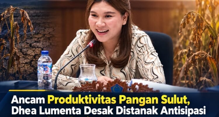 Ancam Produktivitas Pangan Sulut, Dhea Lumenta Desak Distanak Antisipasi Dampak Kekeringan